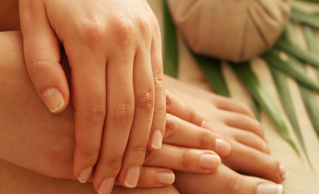 Crèmes Mains et Pieds